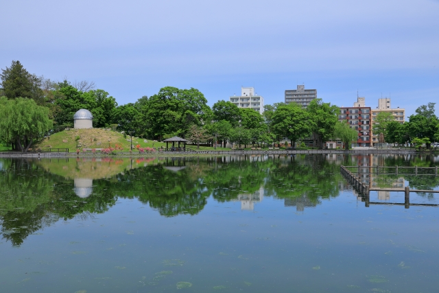 上川郡美瑛町西町三丁目のメイン画像