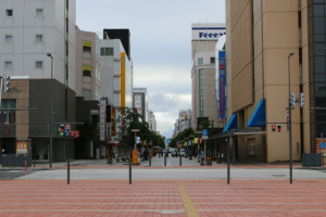 旭川市花咲町四丁目の最新土地相場情報とタウン情報